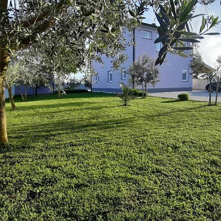 Villa Zeus Pula Exterior foto