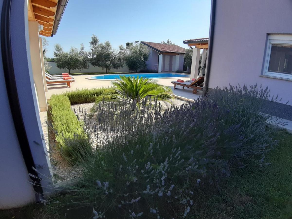 Villa Zeus Pula Exterior foto